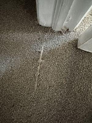 Carpet Max & Chandelier Lighting