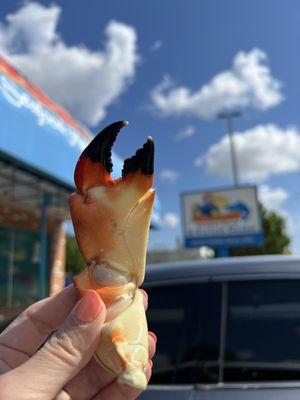 Delaware Chicken Farm