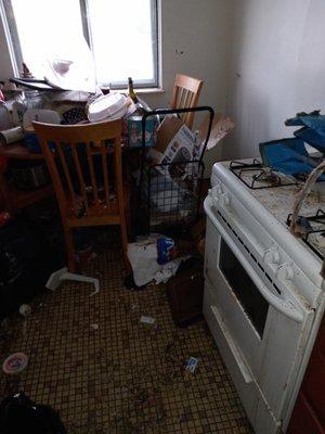 Apartment Preparation Services