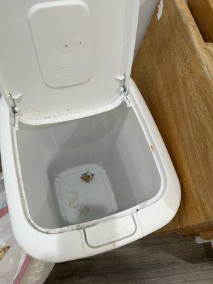 Your Team Cleaning