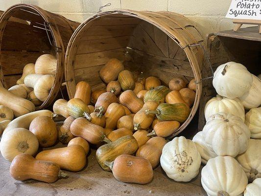 Laurel Glen Farm LLC