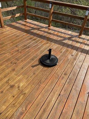 Brush Masters Painting