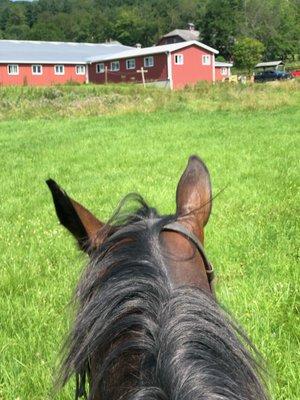 View of barn from horseback