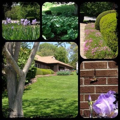 Oak Grove Landscape And Maintenance Co.