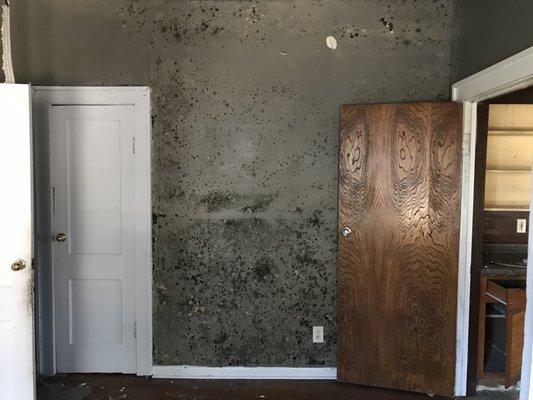 Green Home Solutions