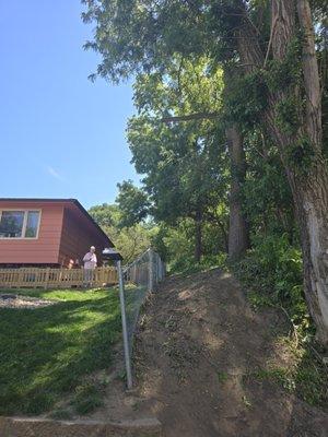 Hemlock Tree Service