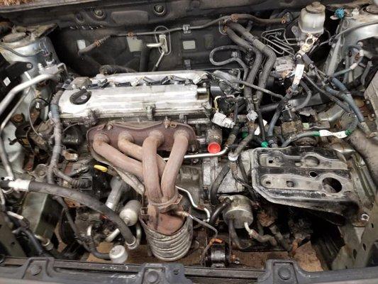 Camilia Services and Auto