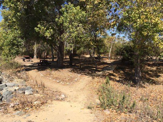 Cottonwood Grove Apartments