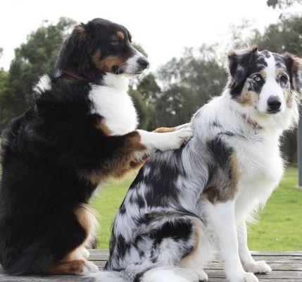 Everyone needs a massage!