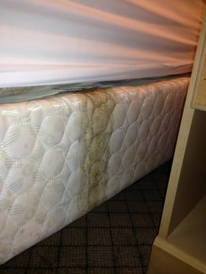 Vomit on bed in my room.