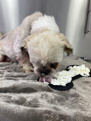 Marble Veterinary Hospital