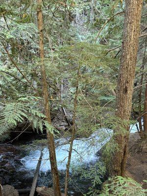 The river runs along the trail
