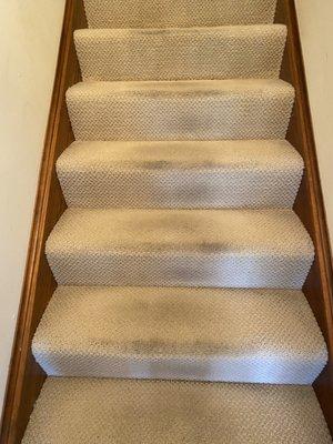Pristine Steam Carpet Cleaning