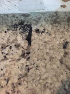 Seams don't line up with pattern--cut was upside down.