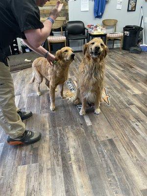 Trying to sit for a picture, LOL!