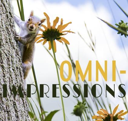 Omni-Impressions graphic design company