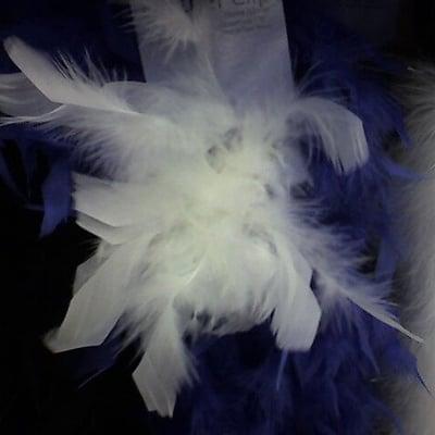 Feather accent piece from the feathers section at Joann's. (August 2008)