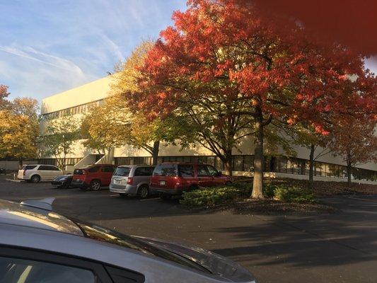 Karly Hoffman King Therapy