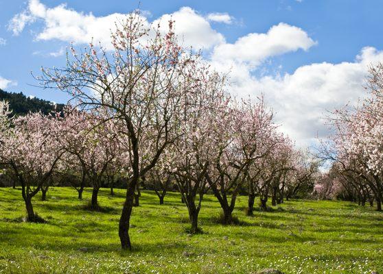Fresno Madera Farm Credit