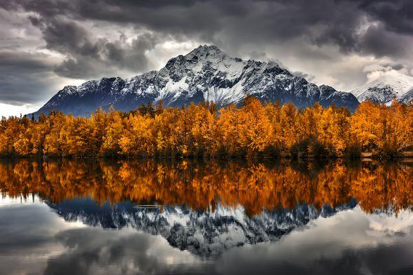 Edward Snow Photography