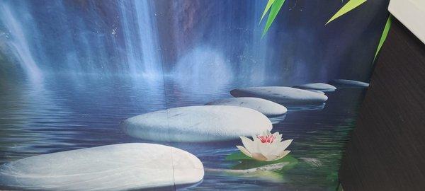 The New You Dental & Aesthetics