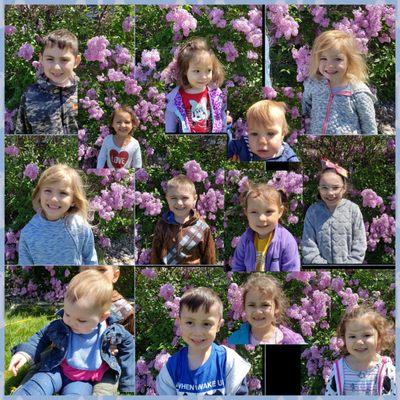 Little Fireflies Academia