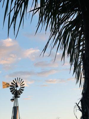 SUGAR Thai Massage Alternative & Holistic Health Healing 3475 Broadway St. American Canyon CA 94503 Professional in Napa Valley