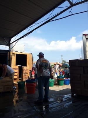 Chincoteague Fisheries