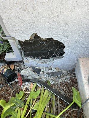 All About Termite Solutions