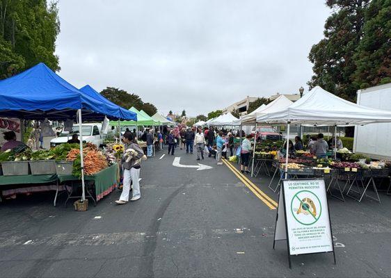 Growing and with live music! Beautiful guitarist this visit!