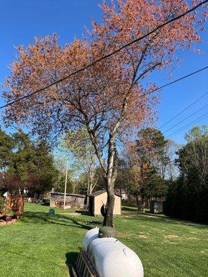 Highland Construction & Landscape