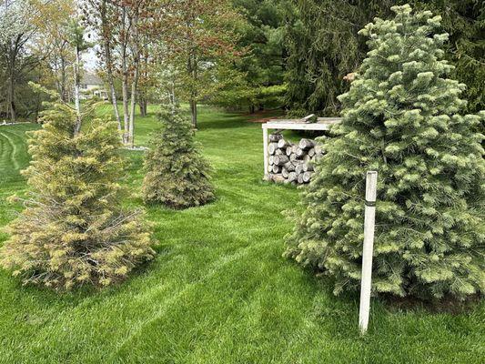 Leppek Nursery & Garden Center