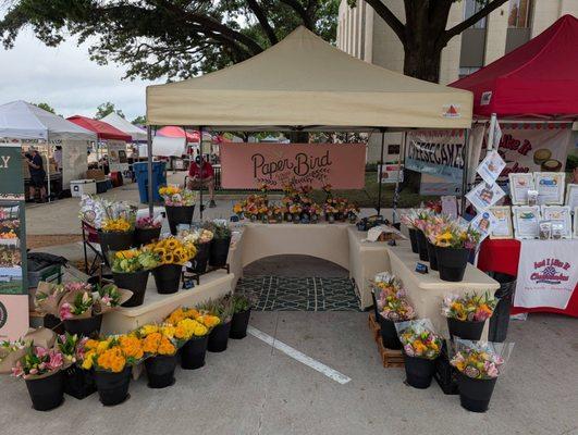 Paper Bird Flower Farm