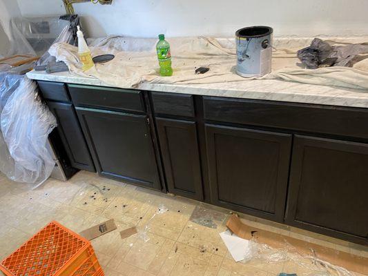 SR 2419 Handyman Services