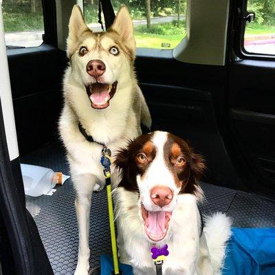 Join Our Adventure Fun!