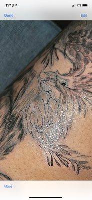 A Girls Gotta Tattoo & The Fellas