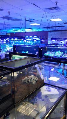 Vivid Aquariums