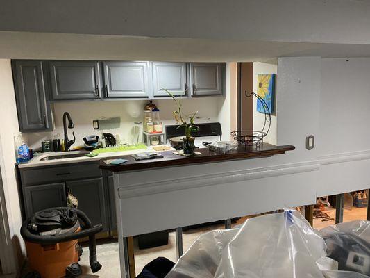 BEFORE Renovations-  1/2 Kitchen