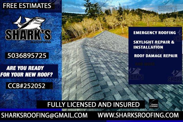 Shark's Roofing