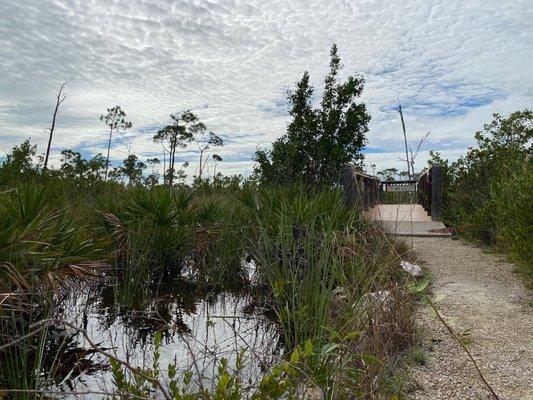 Fred C Manillo Wildlife Trail