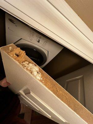 Boston Doors & Windows