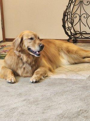 Fur On The Floor Dog Grooming