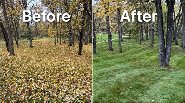 Fall is right around the corner. Send us a text at 802-744-1000 to get on our list for this season's leaf blowing service!