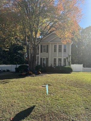 Clean Tech Solutions