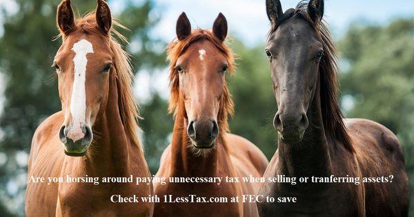 Financial Exchange Coterie