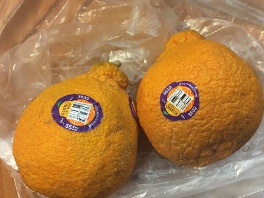 Suntreat Packing & Shipping