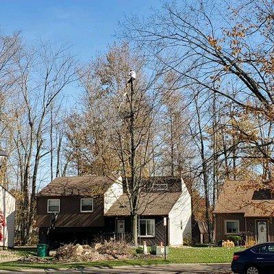 John's Affordable Tree Service