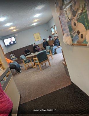 Judith M Shea DDS PLLC