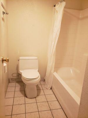 Dirty bathroom with dead roaches on floor