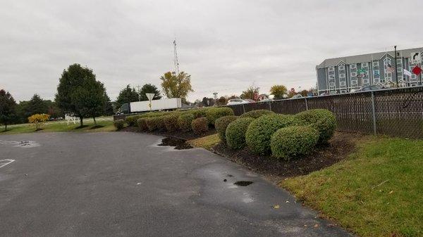 Cifuentes Landscaping LLC